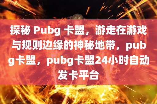 探秘 Pubg 卡盟，游走在游戏与规则边缘的神秘地带，pubg卡盟，pubg卡盟24小时自动发卡平台