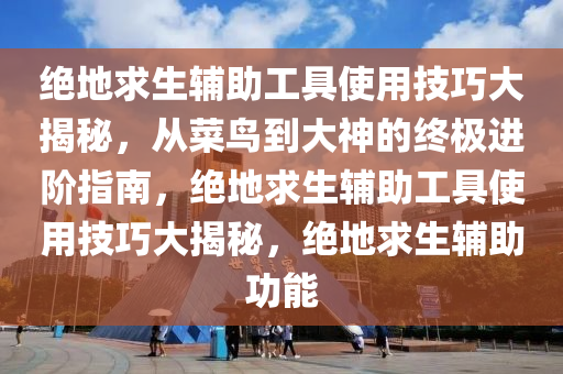 绝地求生辅助工具使用技巧大揭秘，从菜鸟到大神的终极进阶指南，绝地求生辅助工具使用技巧大揭秘，绝地求生辅助功能