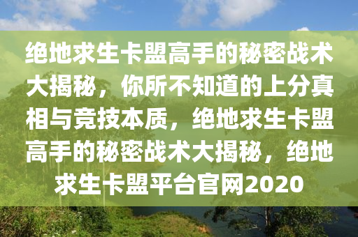绝地求生卡盟高手的秘密战术大揭秘，你所不知道的上分真相与竞技本质，绝地求生卡盟高手的秘密战术大揭秘，绝地求生卡盟平台官网2020