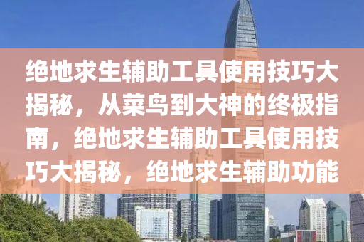 绝地求生辅助工具使用技巧大揭秘，从菜鸟到大神的终极指南，绝地求生辅助工具使用技巧大揭秘，绝地求生辅助功能