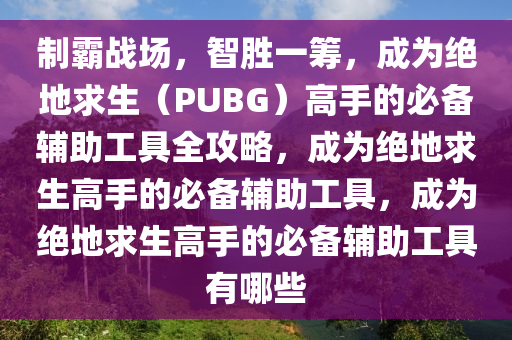 制霸战场,智胜一筹,成为绝地求生(PUBG)高手的必备辅助工具全攻略,成为绝地求生高手的必备辅助工具,成为绝地求生高手的必备辅助工具有哪些