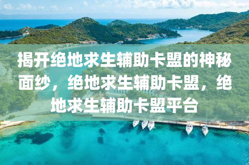揭开绝地求生辅助卡盟的神秘面纱，绝地求生辅助卡盟，绝地求生辅助卡盟平台