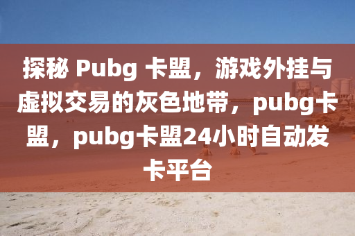 探秘 Pubg 卡盟，游戏外挂与虚拟交易的灰色地带，pubg卡盟，pubg卡盟24小时自动发卡平台