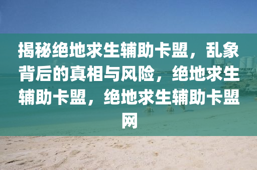 揭秘绝地求生辅助卡盟，乱象背后的真相与风险，绝地求生辅助卡盟，绝地求生辅助卡盟网