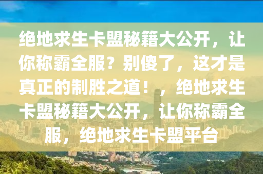 绝地求生卡盟秘籍大公开，让你称霸全服？别傻了，这才是真正的制胜之道！，绝地求生卡盟秘籍大公开，让你称霸全服，绝地求生卡盟平台
