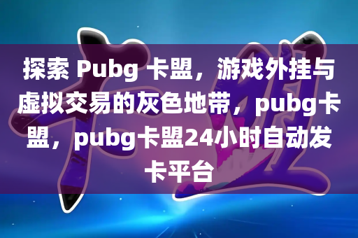 探索 Pubg 卡盟，游戏外挂与虚拟交易的灰色地带，pubg卡盟，pubg卡盟24小时自动发卡平台