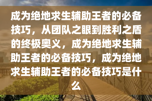 成为绝地求生辅助王者的必备技巧，从团队之眼到胜利之盾的终极奥义，成为绝地求生辅助王者的必备技巧，成为绝地求生辅助王者的必备技巧是什么