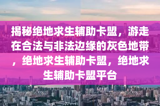 揭秘绝地求生辅助卡盟，游走在合法与非法边缘的灰色地带，绝地求生辅助卡盟，绝地求生辅助卡盟平台