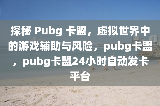 探秘 Pubg 卡盟，虚拟世界中的游戏辅助与风险，pubg卡盟，pubg卡盟24小时自动发卡平台