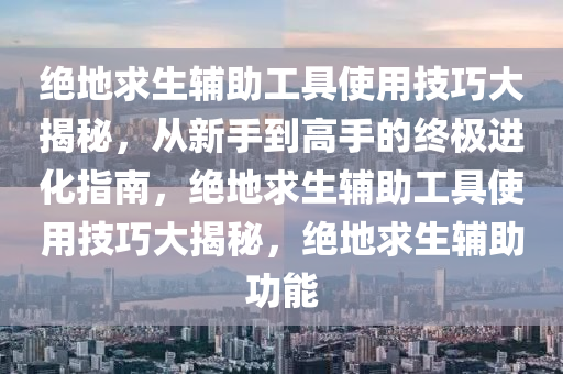 绝地求生辅助工具使用技巧大揭秘，从新手到高手的终极进化指南，绝地求生辅助工具使用技巧大揭秘，绝地求生辅助功能