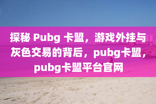 探秘 Pubg 卡盟，游戏外挂与灰色交易的背后，pubg卡盟，pubg卡盟平台官网