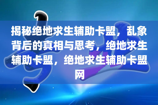 揭秘绝地求生辅助卡盟，乱象背后的真相与思考，绝地求生辅助卡盟，绝地求生辅助卡盟网