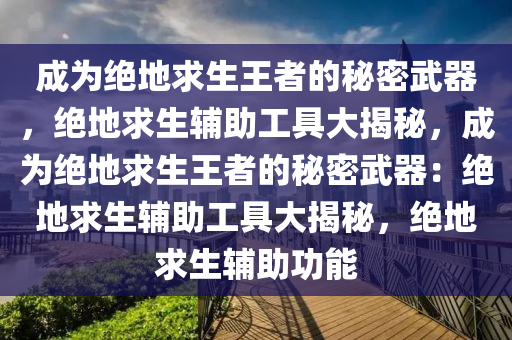 成为绝地求生王者的秘密武器，绝地求生辅助工具大揭秘，成为绝地求生王者的秘密武器：绝地求生辅助工具大揭秘，绝地求生辅助功能