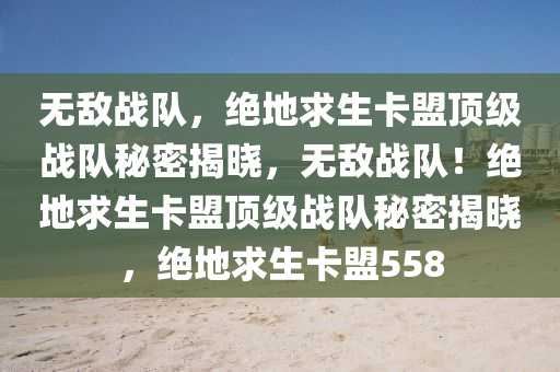无敌战队，绝地求生卡盟顶级战队秘密揭晓，无敌战队！绝地求生卡盟顶级战队秘密揭晓，绝地求生卡盟558