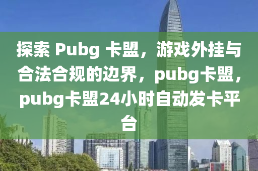 探索 Pubg 卡盟，游戏外挂与合法合规的边界，pubg卡盟，pubg卡盟24小时自动发卡平台