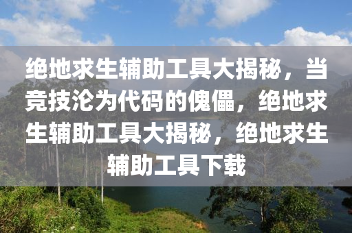 绝地求生辅助工具大揭秘，当竞技沦为代码的傀儡，绝地求生辅助工具大揭秘，绝地求生辅助工具下载