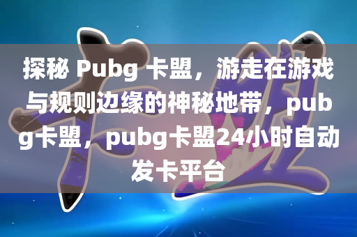 探秘 Pubg 卡盟，游走在游戏与规则边缘的神秘地带，pubg卡盟，pubg卡盟24小时自动发卡平台