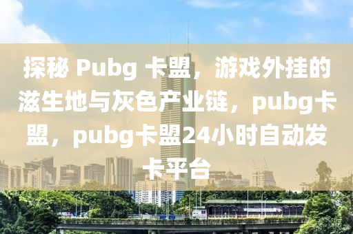 探秘 Pubg 卡盟，游戏外挂的滋生地与灰色产业链，pubg卡盟，pubg卡盟24小时自动发卡平台