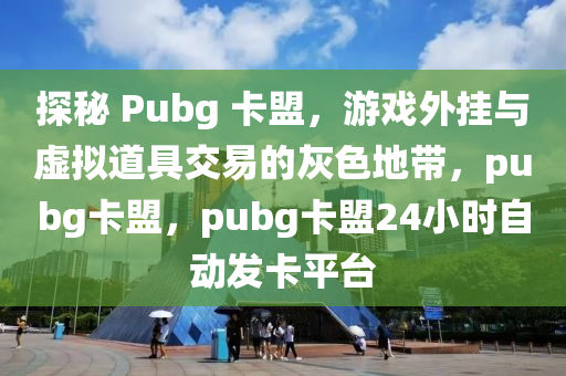 探秘 Pubg 卡盟，游戏外挂与虚拟道具交易的灰色地带，pubg卡盟，pubg卡盟24小时自动发卡平台