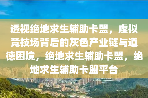 透视绝地求生辅助卡盟，虚拟竞技场背后的灰色产业链与道德困境，绝地求生辅助卡盟，绝地求生辅助卡盟平台