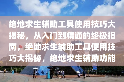 绝地求生辅助工具使用技巧大揭秘，从入门到精通的终极指南，绝地求生辅助工具使用技巧大揭秘，绝地求生辅助功能