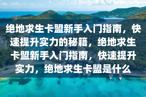 绝地求生卡盟新手入门指南，快速提升实力的秘籍，绝地求生卡盟新手入门指南，快速提升实力，绝地求生卡盟是什么