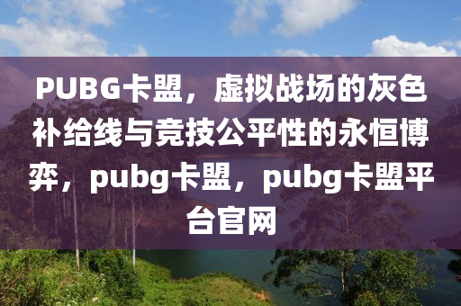 PUBG卡盟，虚拟战场的灰色补给线与竞技公平性的永恒博弈，pubg卡盟，pubg卡盟平台官网