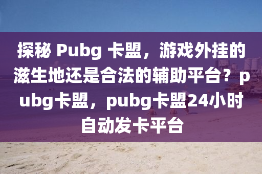 探秘 Pubg 卡盟，游戏外挂的滋生地还是合法的辅助平台？pubg卡盟，pubg卡盟24小时自动发卡平台