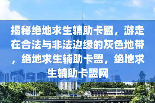 揭秘绝地求生辅助卡盟，游走在合法与非法边缘的灰色地带，绝地求生辅助卡盟，绝地求生辅助卡盟网