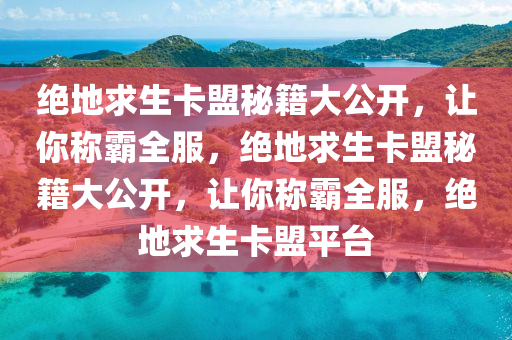 绝地求生卡盟秘籍大公开，让你称霸全服，绝地求生卡盟秘籍大公开，让你称霸全服，绝地求生卡盟平台