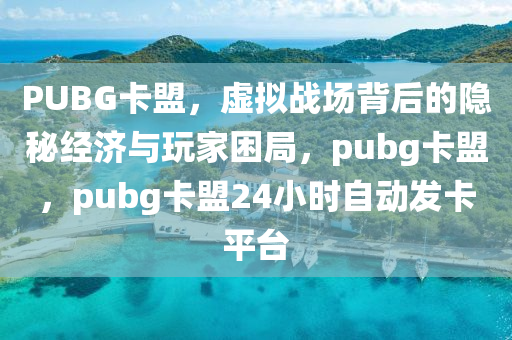 PUBG卡盟，虚拟战场背后的隐秘经济与玩家困局，pubg卡盟，pubg卡盟24小时自动发卡平台
