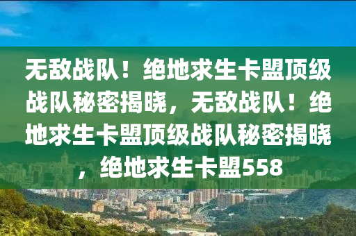 无敌战队！绝地求生卡盟顶级战队秘密揭晓，无敌战队！绝地求生卡盟顶级战队秘密揭晓，绝地求生卡盟558