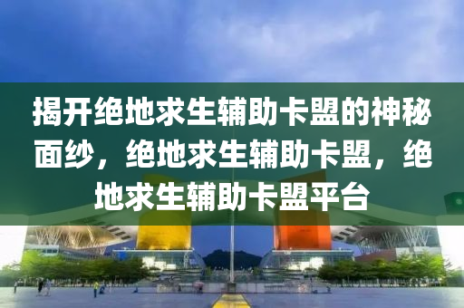 揭开绝地求生辅助卡盟的神秘面纱，绝地求生辅助卡盟，绝地求生辅助卡盟平台