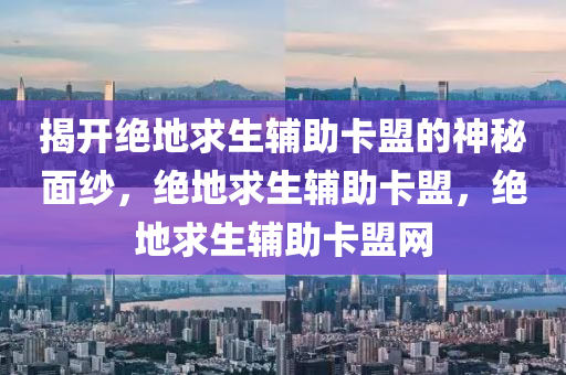 揭开绝地求生辅助卡盟的神秘面纱，绝地求生辅助卡盟，绝地求生辅助卡盟网