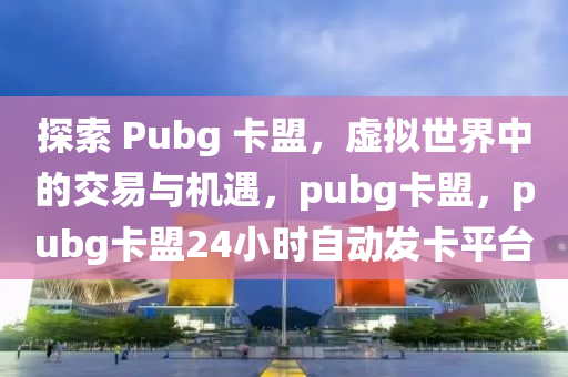 探索 Pubg 卡盟，虚拟世界中的交易与机遇，pubg卡盟，pubg卡盟24小时自动发卡平台