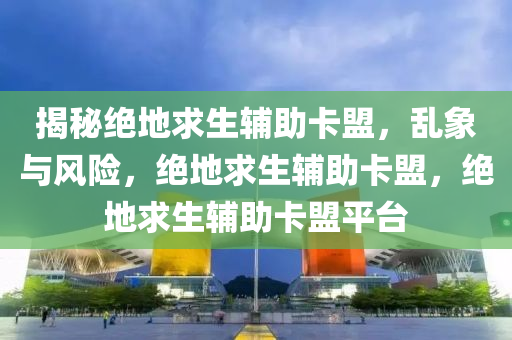 揭秘绝地求生辅助卡盟，乱象与风险，绝地求生辅助卡盟，绝地求生辅助卡盟平台