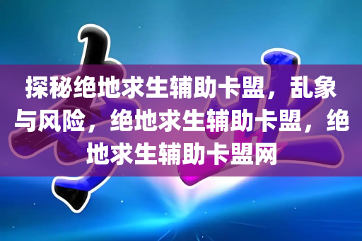 探秘绝地求生辅助卡盟，乱象与风险，绝地求生辅助卡盟，绝地求生辅助卡盟网