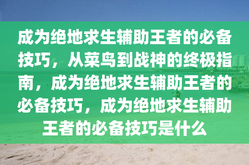 成为绝地求生辅助王者的必备技巧，从菜鸟到战神的终极指南，成为绝地求生辅助王者的必备技巧，成为绝地求生辅助王者的必备技巧是什么