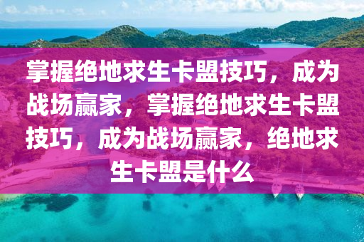 掌握绝地求生卡盟技巧，成为战场赢家，掌握绝地求生卡盟技巧，成为战场赢家，绝地求生卡盟是什么