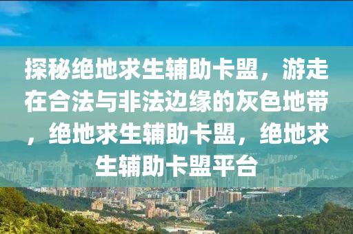 探秘绝地求生辅助卡盟，游走在合法与非法边缘的灰色地带，绝地求生辅助卡盟，绝地求生辅助卡盟平台