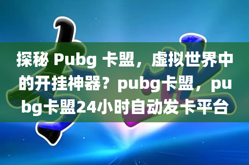 探秘 Pubg 卡盟，虚拟世界中的开挂神器？pubg卡盟，pubg卡盟24小时自动发卡平台