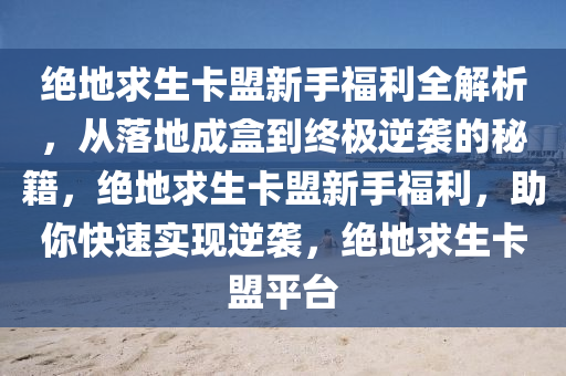 绝地求生卡盟新手福利全解析，从落地成盒到终极逆袭的秘籍，绝地求生卡盟新手福利，助你快速实现逆袭，绝地求生卡盟平台