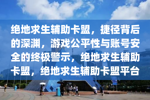 绝地求生辅助卡盟，捷径背后的深渊，游戏公平性与账号安全的终极警示，绝地求生辅助卡盟，绝地求生辅助卡盟平台