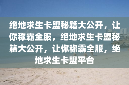 绝地求生卡盟秘籍大公开，让你称霸全服，绝地求生卡盟秘籍大公开，让你称霸全服，绝地求生卡盟平台