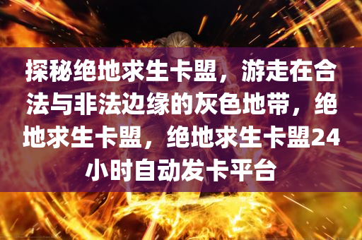 探秘绝地求生卡盟，游走在合法与非法边缘的灰色地带，绝地求生卡盟，绝地求生卡盟24小时自动发卡平台