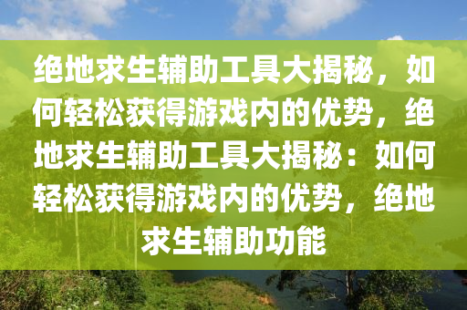 绝地求生辅助工具大揭秘，如何轻松获得游戏内的优势，绝地求生辅助工具大揭秘：如何轻松获得游戏内的优势，绝地求生辅助功能