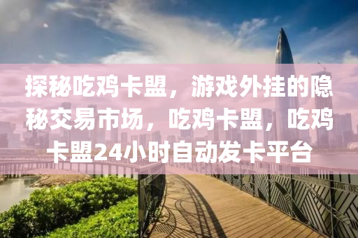 探秘吃鸡卡盟，游戏外挂的隐秘交易市场，吃鸡卡盟，吃鸡卡盟24小时自动发卡平台