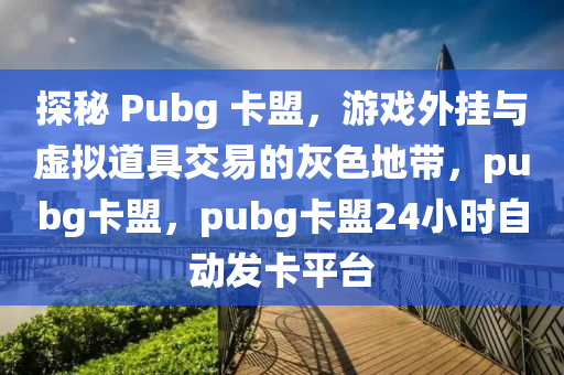 探秘 Pubg 卡盟，游戏外挂与虚拟道具交易的灰色地带，pubg卡盟，pubg卡盟24小时自动发卡平台