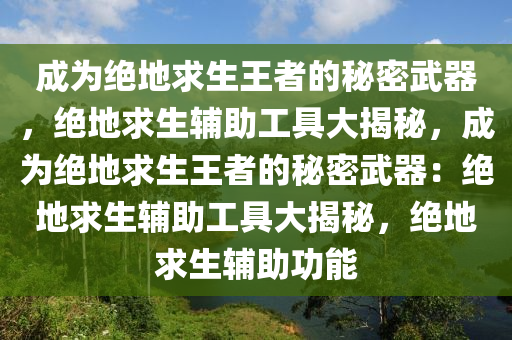 成为绝地求生王者的秘密武器，绝地求生辅助工具大揭秘，成为绝地求生王者的秘密武器：绝地求生辅助工具大揭秘，绝地求生辅助功能