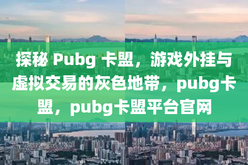 探秘 Pubg 卡盟，游戏外挂与虚拟交易的灰色地带，pubg卡盟，pubg卡盟平台官网